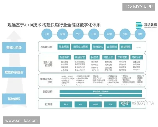 深圳男篮的团队凝聚力，从数据到实战的全面拆解